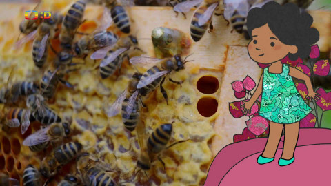 Velká kniha o zvířátkách - Epizoda 7/52