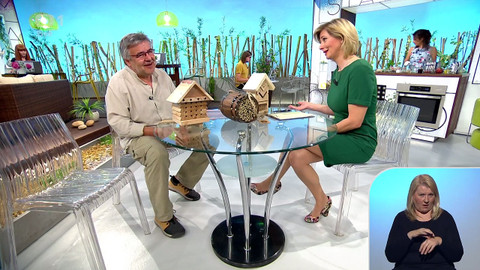 Sama doma - 23. června 2020