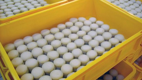 Toulavá kamera ochutnává Česko - 2/8 Český ráj a Střední Morava