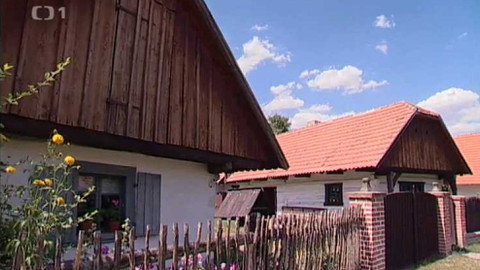 Kořeny - Přerov nad Labem