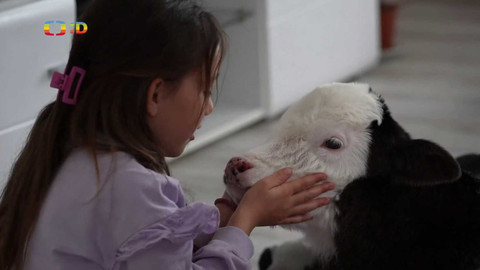 Zprávičky - 8. dubna