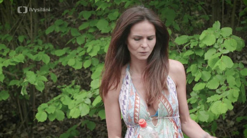 Řiďte s rozumem - Jízda v letním horku