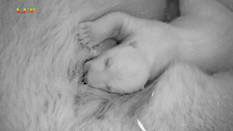 Zprávičky - 3. ledna 2019