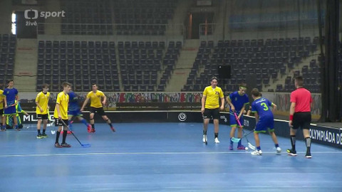 Olympiáda dětí a mládeže - Florbal