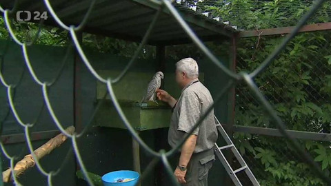 Regiony ČT24 - 9. června 2018