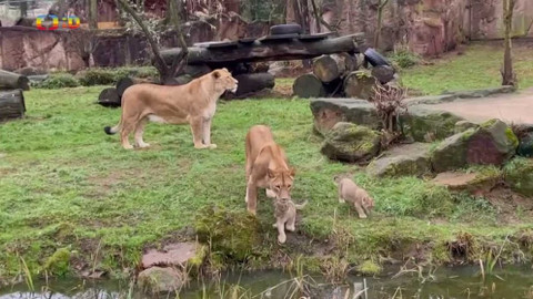 Zprávičky - 14. prosince 2021