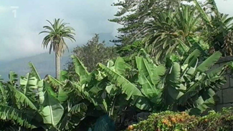 Objektiv - 17. června 2012