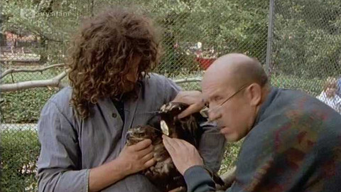 O zvířatech a lidech - 13/13 Závod