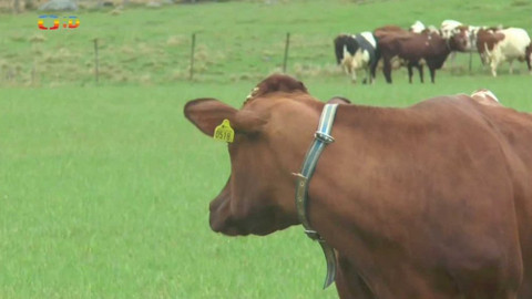 Zprávičky - 30. dubna 2018