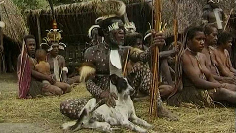 Objektiv - 1. února 2004