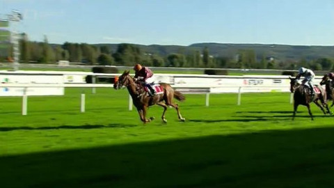 Turf - 22. října 2014