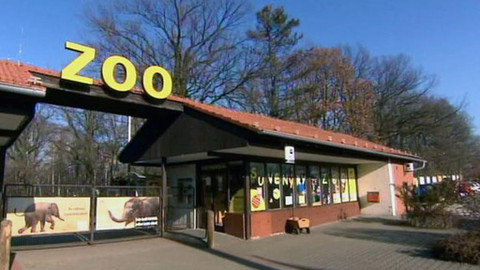 Kvarteto - 24. dubna 2012