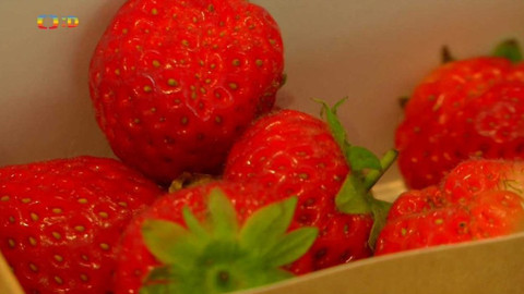 Zprávičky - 12. září 2018