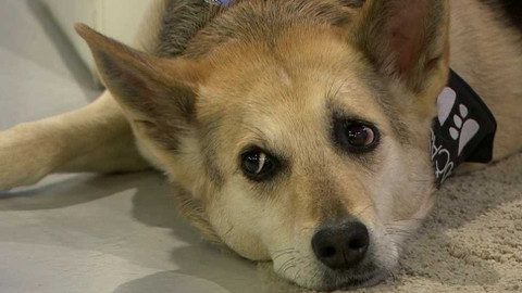 Sama doma - 30. května 2023