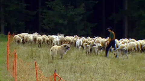 Náš venkov - Farmář