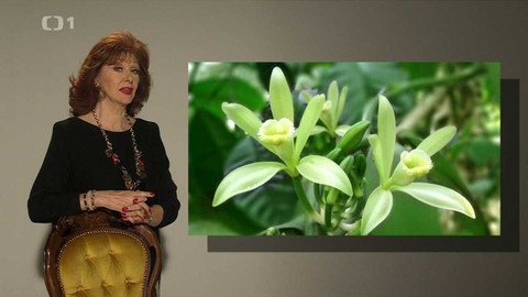 Kalendárium - 4. února 2024