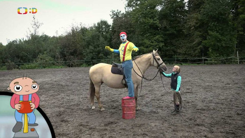 Ty Brďo! - Jezdectví