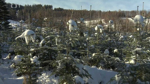 Týden v regionech (Ostrava) - 22. prosince 2018