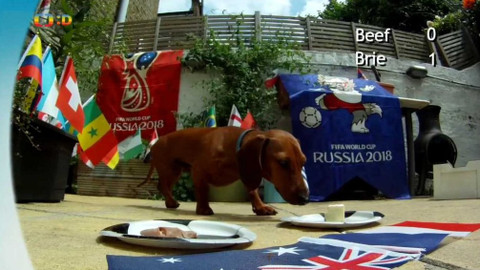 Zprávičky - 17. června 2018