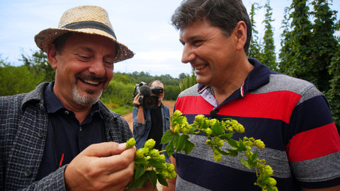 Trvalé bydliště venkov - 11/16 Chmel je naše zlato