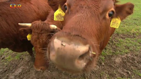 Náš zvěřinec - Věda mezi zvířaty