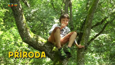 Zprávičky - 12. dubna 2018