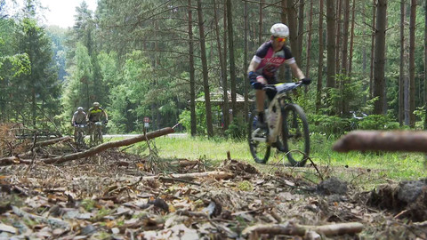 Sport v regionech - OZP 50 Podralsko