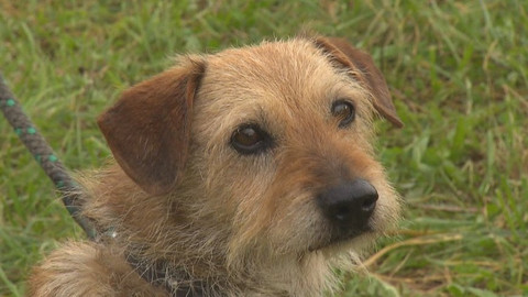 Chcete mě? - Chcete je?