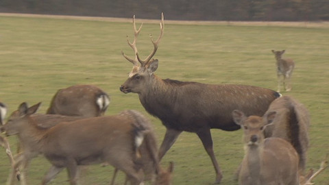 Chcete mě? - 11. března 2018