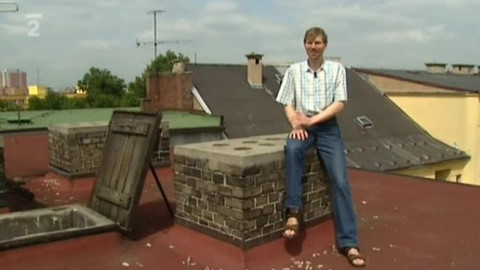 Přidej se - A co na to rorýsi?