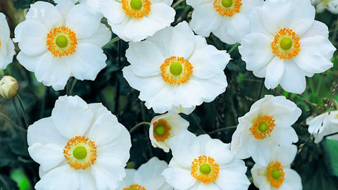 Polopatě - 21. září