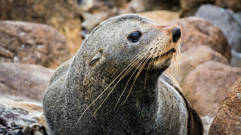 Cesty kolem světa - Epizoda 11/12