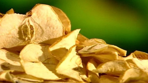 Pod pokličkou - Rozinka či křížala, jezte je už odmala