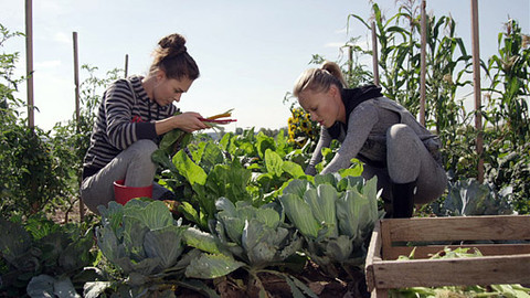 Herbář - Sejde z očí, sejde z müsli