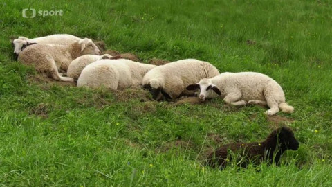 Cyklotoulky - Tvrdošín a okolí