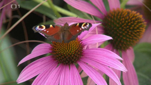 Hobby naší doby - 13. října 2018