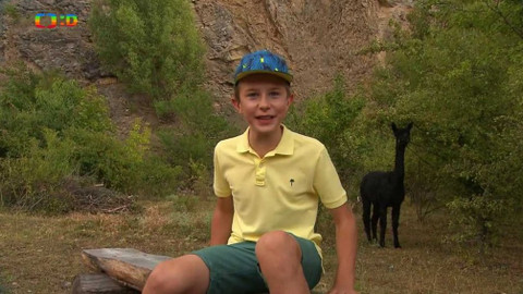 Terčin zvířecí svět - 5. října 2018