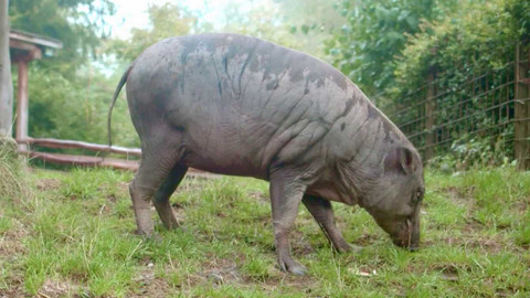 Máme rádi zvířata - 25. listopadu 2024