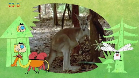 Náš zvěřinec - O pejskovi a kočičkách