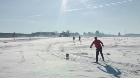 Běžkotoulky - Horská Kvilda