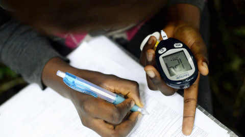 Příběhy zvědavých přírodovědců - 4/10 Životní strategie aneb O ptácích v Čechách a v Africe