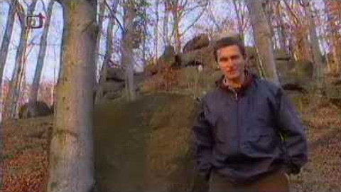 Živé srdce Evropy - Jizerskohorské bučiny