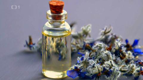 Polopatě - 8. února