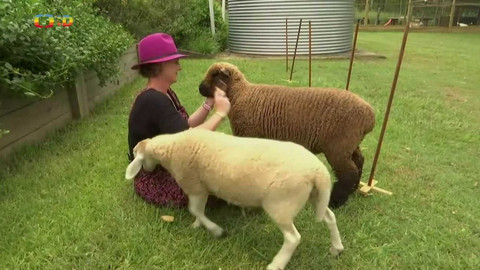 Zprávičky - 7. dubna 2022