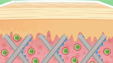 To je něco! - Proč se nám ve stáří dělají vrásky?