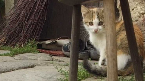 Náš venkov - Řeky pramení na horách