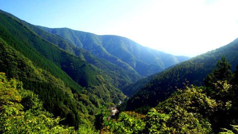 Obdivuhodný svět přírody - Podzimní příroda v Okutamě