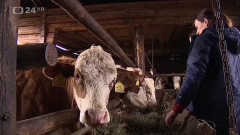 Regiony ČT24 - 20. dubna 2024