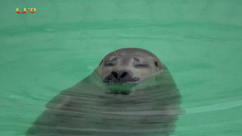 Zprávičky - 4. dubna 2021