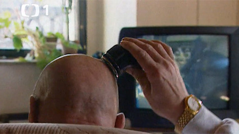 První pomoc - Vlasy